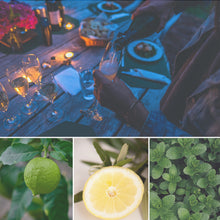 Load image into Gallery viewer, - CAMP - Citronella + Fresh Mint + Bergamot