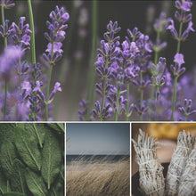 Load image into Gallery viewer, - VALE - Lavender + Sage + Driftwood