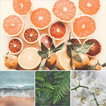 Load image into Gallery viewer, - AYR - Mandarin + Sea Salt + Cypress