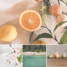 Load image into Gallery viewer, - DUCHESS - Apricot + Citrus Blossom + Cedarwood