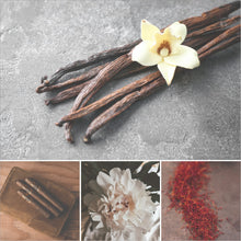 Load image into Gallery viewer, - LODGE - Vanilla + Saffron + Tobacco