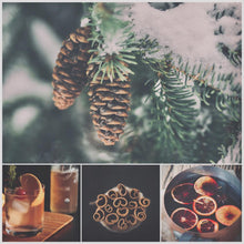 Load image into Gallery viewer, - ASPEN -   Clove + Cinnamon + Bitters